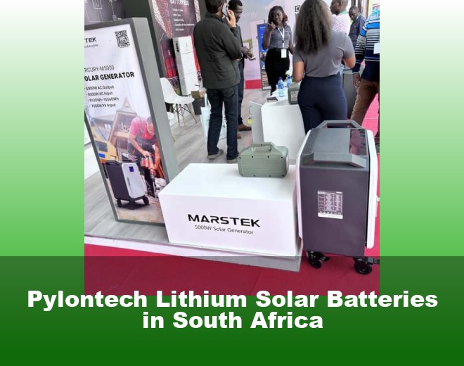 Pylontech Lithium Solar Batteries in South Africa